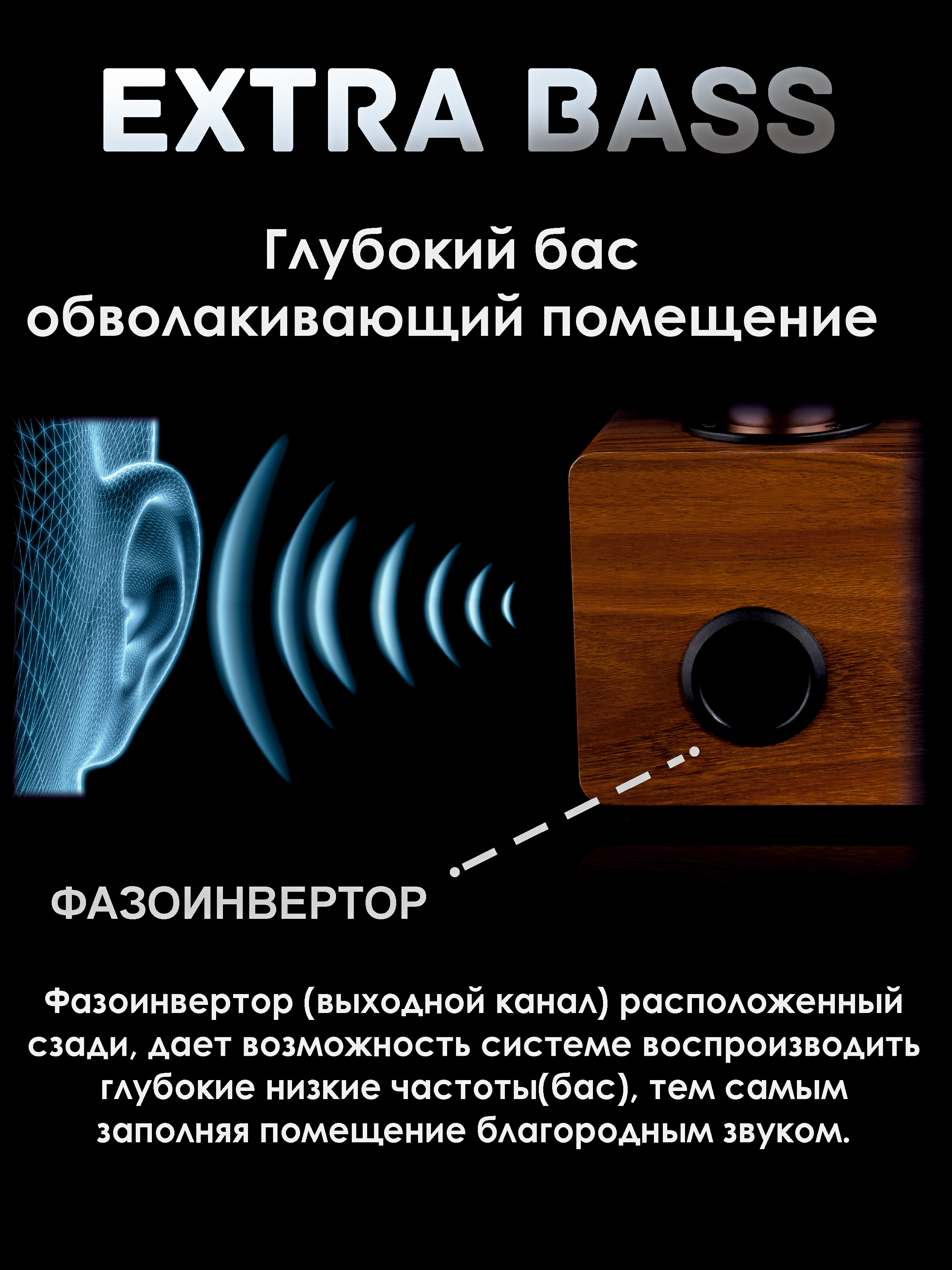 Мощный бас караоке системы для дома