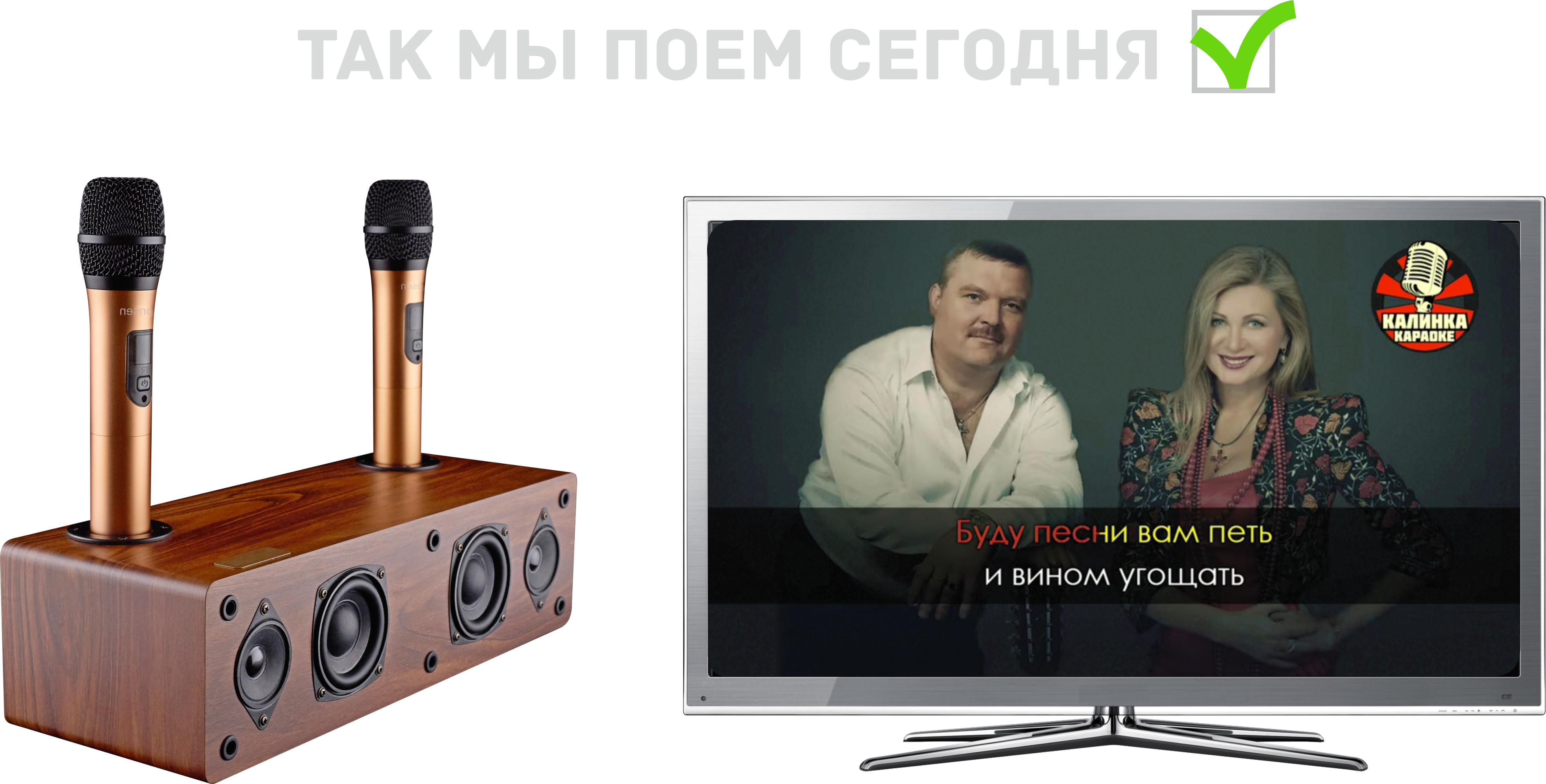 караоке система для телевизора(смарт ТВ)