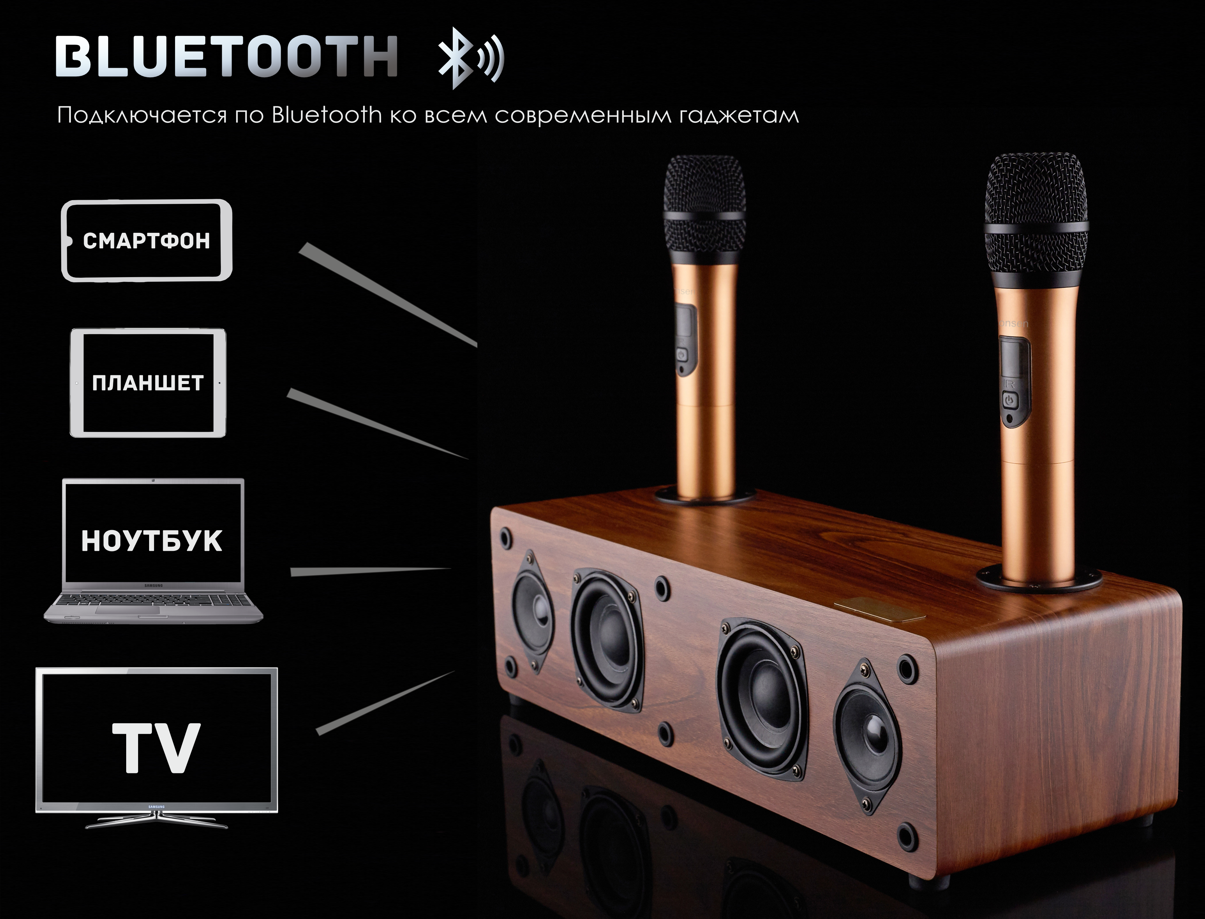 Караоке система для дома с подключением к телевизору(Смарт ТВ)