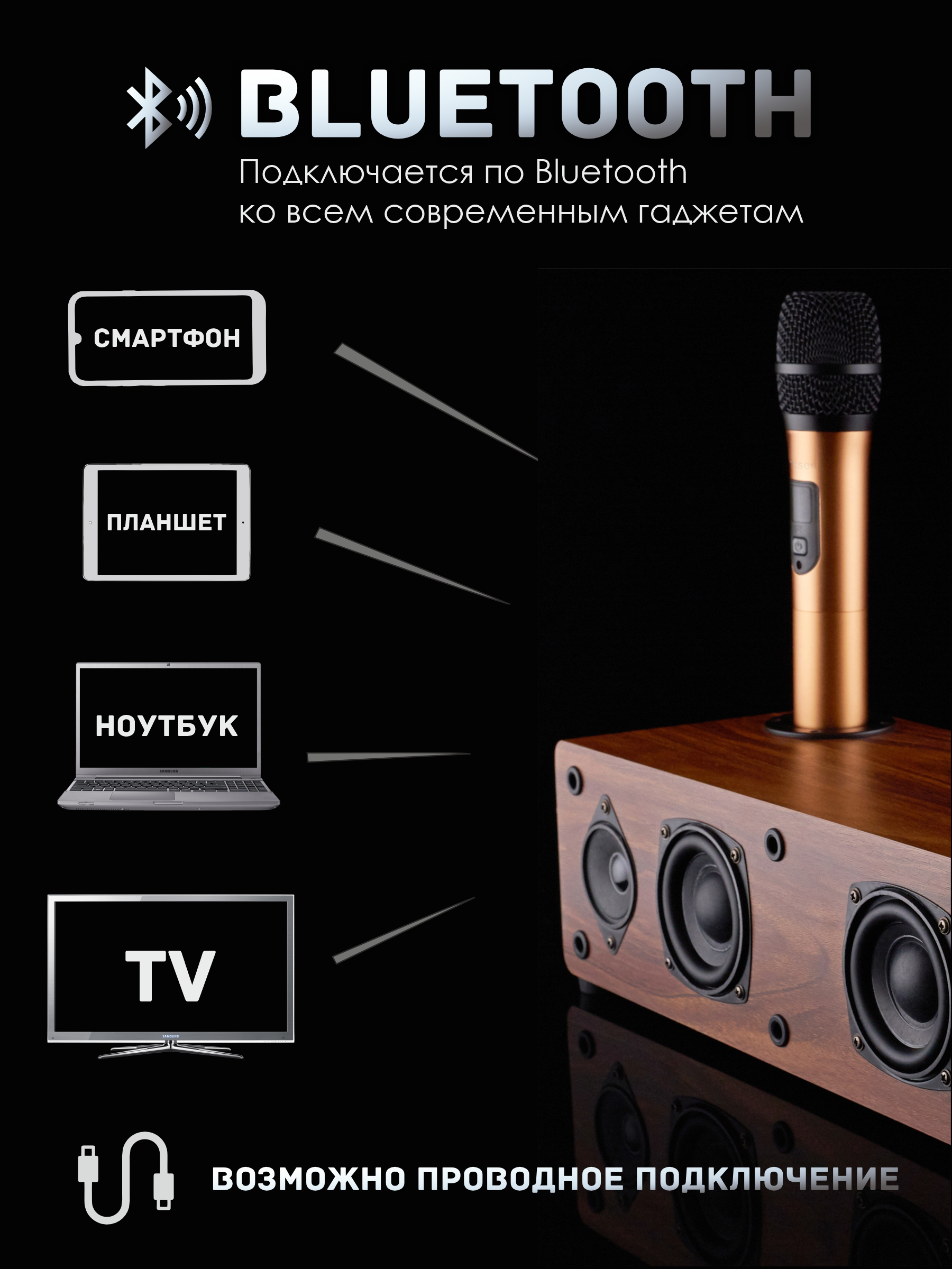 караоке система для дома беспроводная