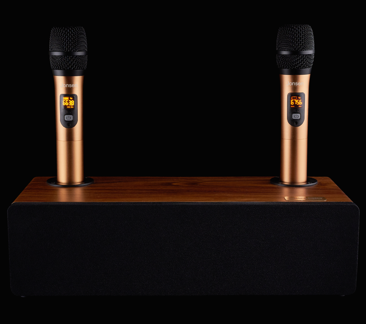 Домашняя караоке система с двумя микрофонами и bluetooth