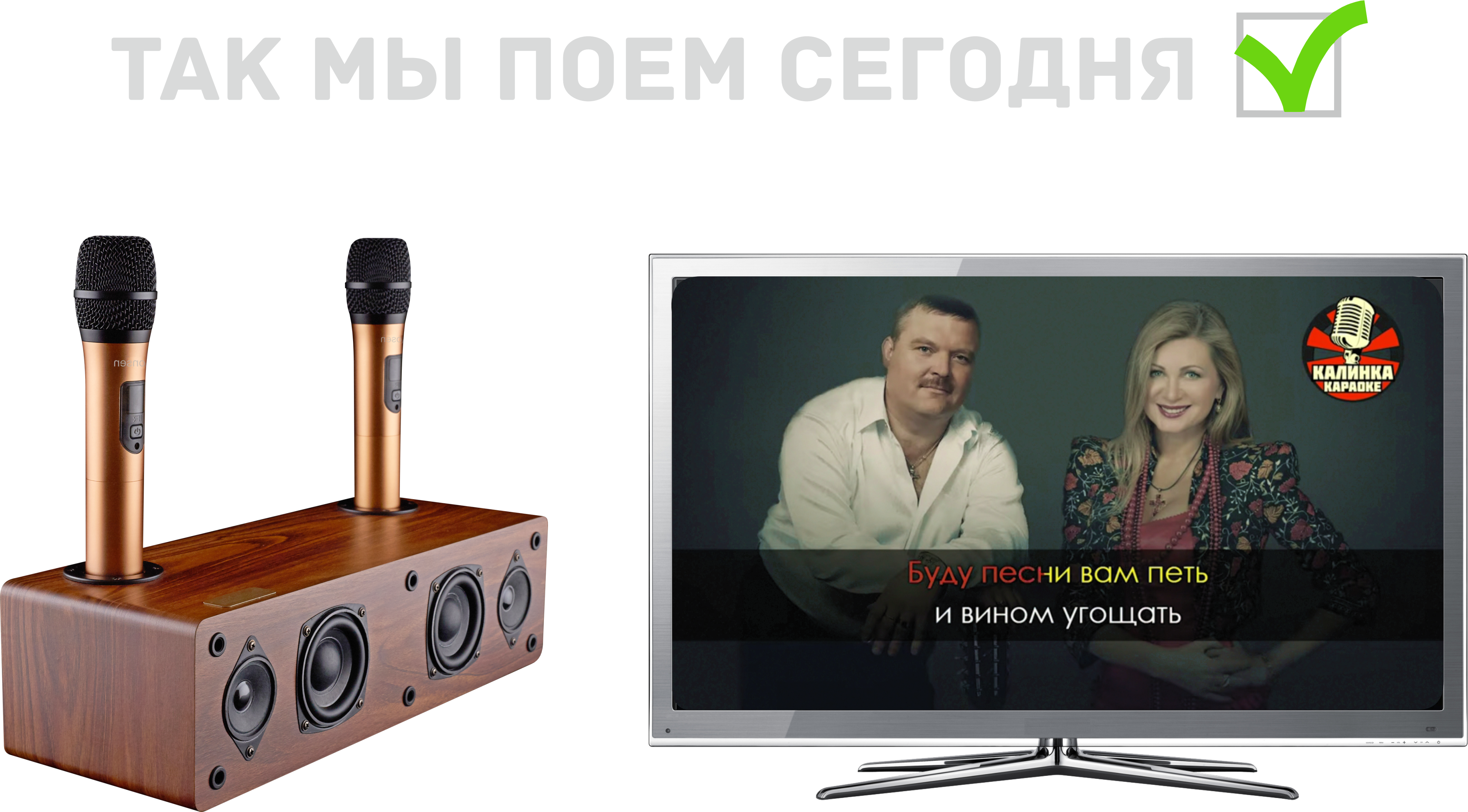 Так мы поем сегодня в караоке